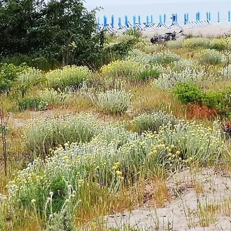 La Casa Nei Pini וירג'יו